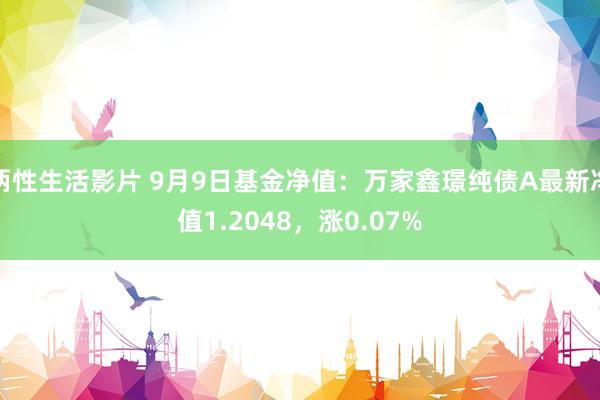 两性生活影片 9月9日基金净值：万家鑫璟纯债A最新净值1.2048，涨0.07%