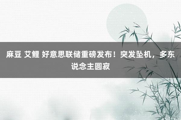 麻豆 艾鲤 好意思联储重磅发布！突发坠机，多东说念主圆寂