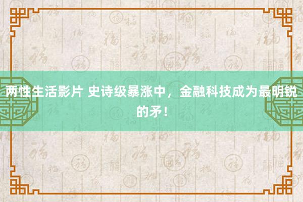 两性生活影片 史诗级暴涨中，金融科技成为最明锐的矛！