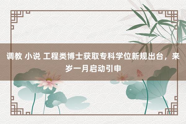 调教 小说 工程类博士获取专科学位新规出台，来岁一月启动引申