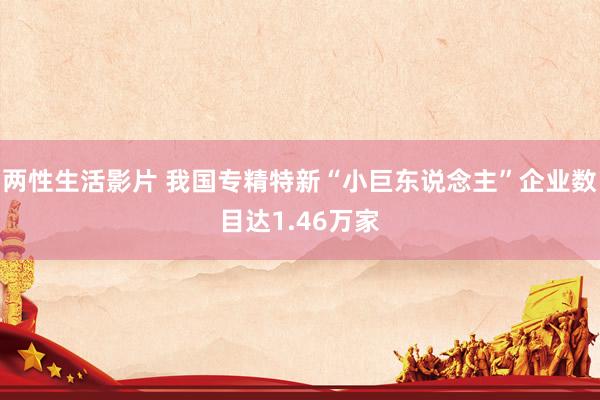 两性生活影片 我国专精特新“小巨东说念主”企业数目达1.46万家