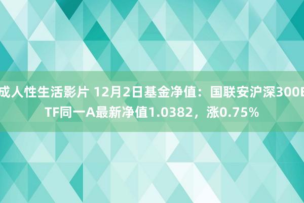 成人性生活影片 12月2日基金净值：国联安沪深300ETF同一A最新净值1.0382，涨0.75%