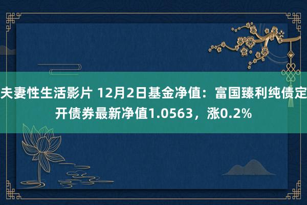 夫妻性生活影片 12月2日基金净值：富国臻利纯债定开债券最新净值1.0563，涨0.2%