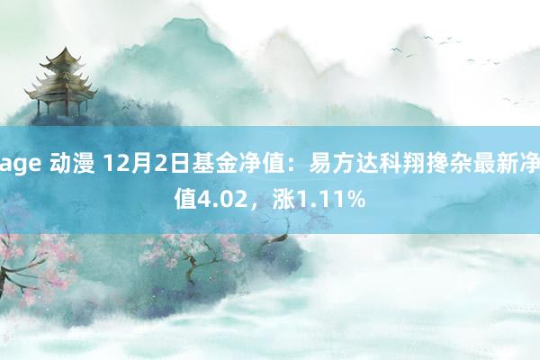 age 动漫 12月2日基金净值：易方达科翔搀杂最新净值4.02，涨1.11%