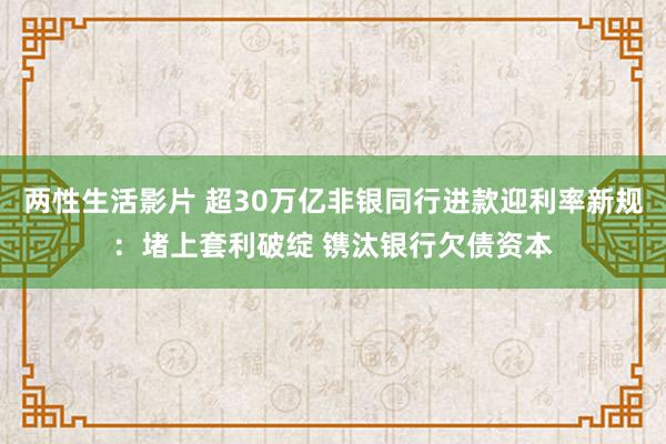 两性生活影片 超30万亿非银同行进款迎利率新规：堵上套利破绽 镌汰银行欠债资本