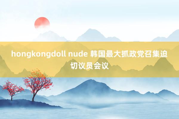 hongkongdoll nude 韩国最大抓政党召集迫切议员会议