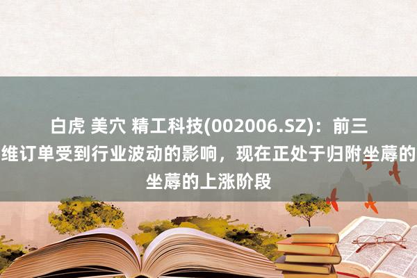 白虎 美穴 精工科技(002006.SZ)：前三季度碳纤维订单受到行业波动的影响，现在正处于归附坐蓐的上涨阶段
