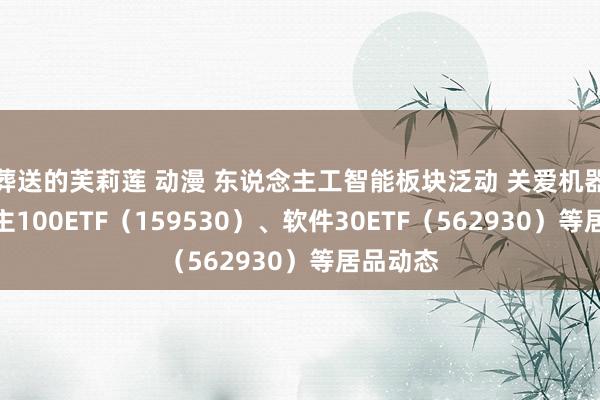 葬送的芙莉莲 动漫 东说念主工智能板块泛动 关爱机器东说念主100ETF（159530）、软件30ETF（562930）等居品动态