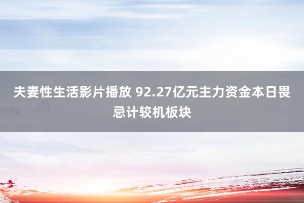 夫妻性生活影片播放 92.27亿元主力资金本日畏忌计较机板块