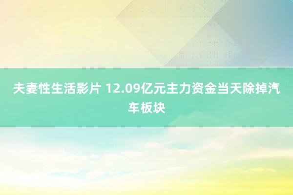 夫妻性生活影片 12.09亿元主力资金当天除掉汽车板块
