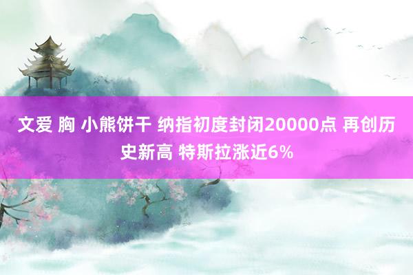 文爱 胸 小熊饼干 纳指初度封闭20000点 再创历史新高 特斯拉涨近6%