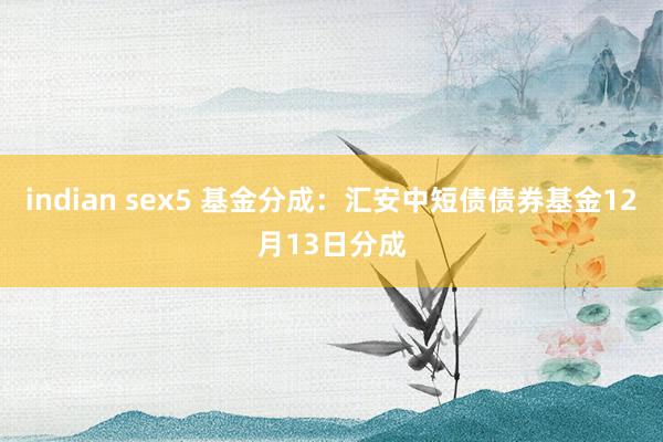 indian sex5 基金分成：汇安中短债债券基金12月13日分成
