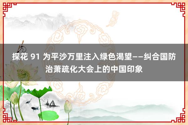 探花 91 为平沙万里注入绿色渴望——纠合国防治萧疏化大会上的中国印象
