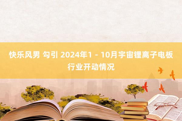 快乐风男 勾引 2024年1－10月宇宙锂离子电板行业开动情况
