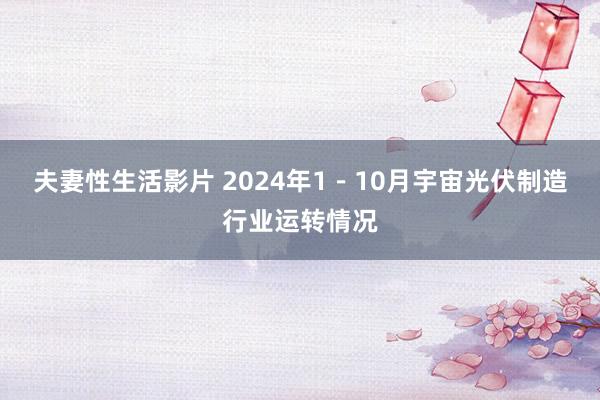 夫妻性生活影片 2024年1－10月宇宙光伏制造行业运转情况