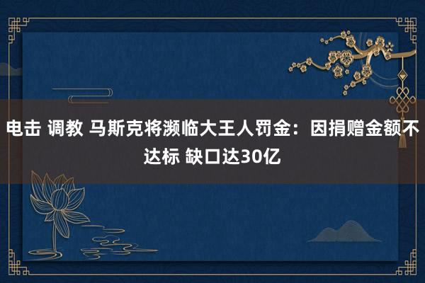 电击 调教 马斯克将濒临大王人罚金：因捐赠金额不达标 缺口达30亿