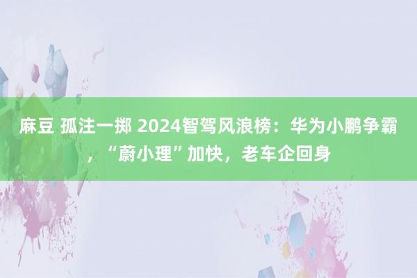 麻豆 孤注一掷 2024智驾风浪榜：华为小鹏争霸，“蔚小理”加快，老车企回身