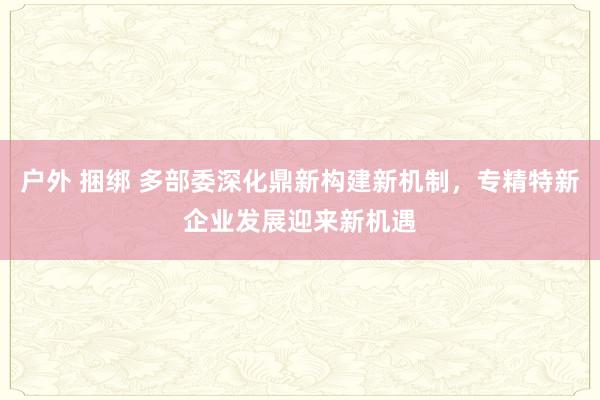 户外 捆绑 多部委深化鼎新构建新机制，专精特新企业发展迎来新机遇