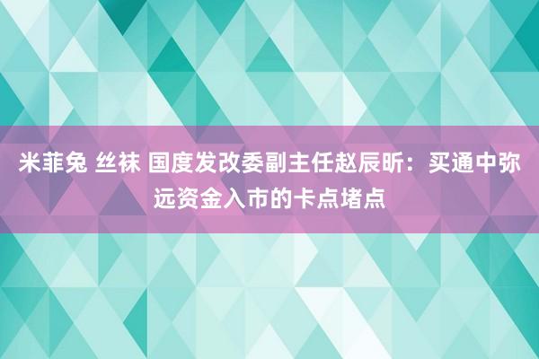 米菲兔 丝袜 国度发改委副主任赵辰昕：买通中弥远资金入市的卡点堵点