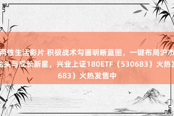 两性生活影片 积极战术勾画明晰蓝图，一键布局沪市中枢龙头与成长新星，兴业上证180ETF（530683）火热发售中