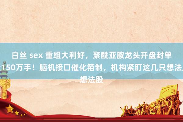 白丝 sex 重组大利好，聚酰亚胺龙头开盘封单近150万手！脑机接口催化箝制，机构紧盯这几只想法股