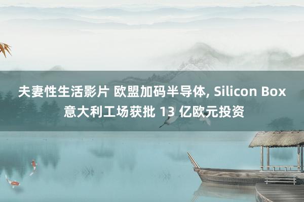 夫妻性生活影片 欧盟加码半导体， Silicon Box 意大利工场获批 13 亿欧元投资
