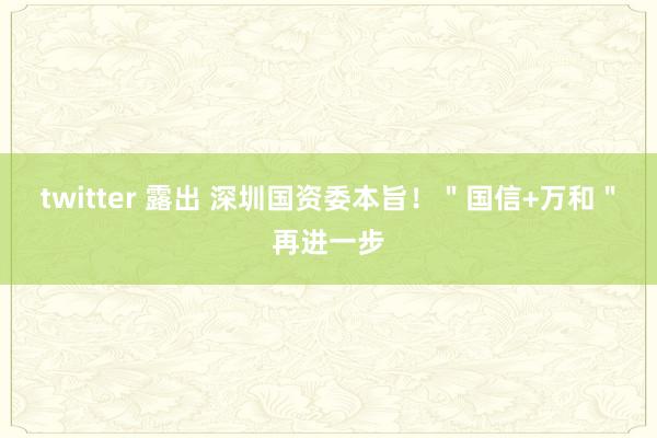 twitter 露出 深圳国资委本旨！＂国信+万和＂再进一步