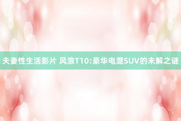 夫妻性生活影片 风浪T10:豪华电混SUV的未解之谜
