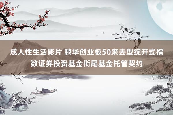 成人性生活影片 鹏华创业板50来去型绽开式指数证券投资基金衔尾基金托管契约
