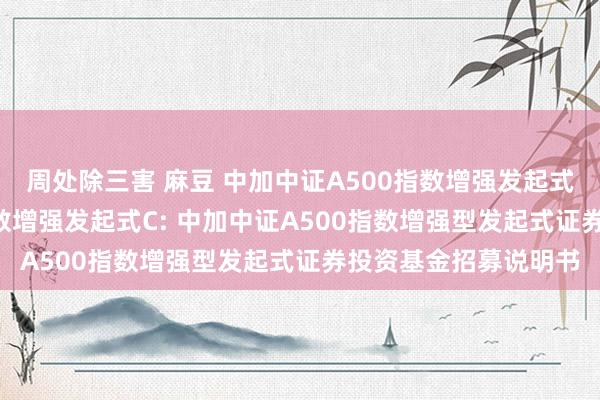 周处除三害 麻豆 中加中证A500指数增强发起式A,中加中证A500指数增强发起式C: 中加中证A500指数增强型发起式证券投资基金招募说明书