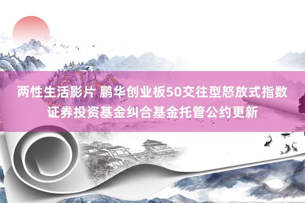 两性生活影片 鹏华创业板50交往型怒放式指数证券投资基金纠合基金托管公约更新