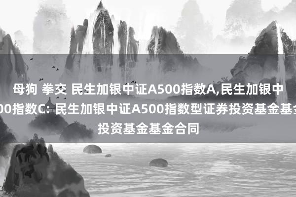 母狗 拳交 民生加银中证A500指数A，民生加银中证A500指数C: 民生加银中证A500指数型证券投资基金基金合同