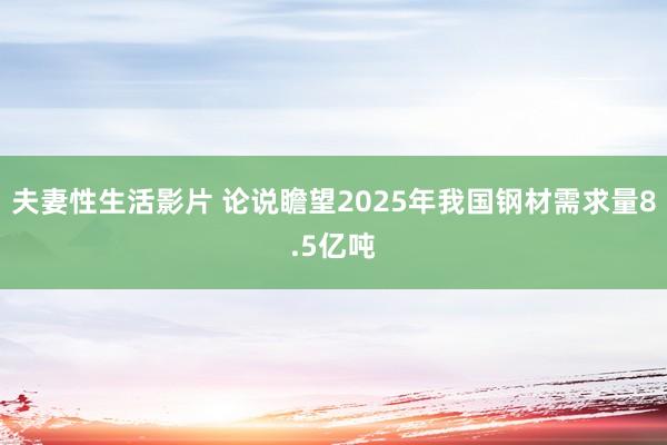 夫妻性生活影片 论说瞻望2025年我国钢材需求量8.5亿吨