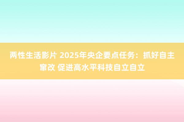 两性生活影片 2025年央企要点任务：抓好自主窜改 促进高水平科技自立自立