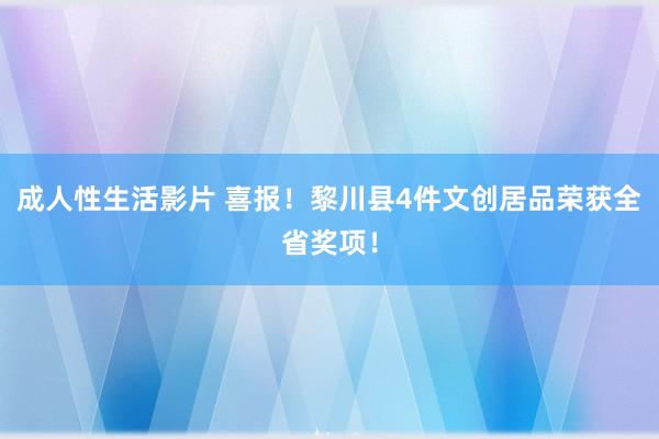 成人性生活影片 喜报！黎川县4件文创居品荣获全省奖项！