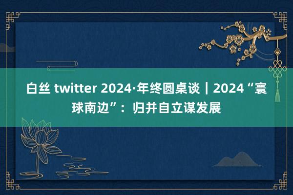 白丝 twitter 2024·年终圆桌谈｜2024“寰球南边”：归并自立谋发展