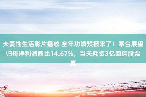 夫妻性生活影片播放 全年功绩预报来了！茅台展望归母净利润同比14.67%，当天耗资3亿回购股票