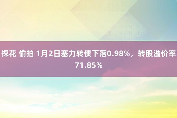 探花 偷拍 1月2日塞力转债下落0.98%，转股溢价率71.85%