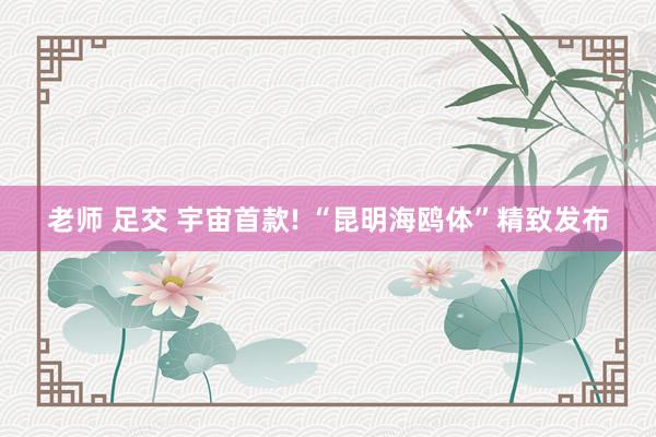 老师 足交 宇宙首款! “昆明海鸥体”精致发布