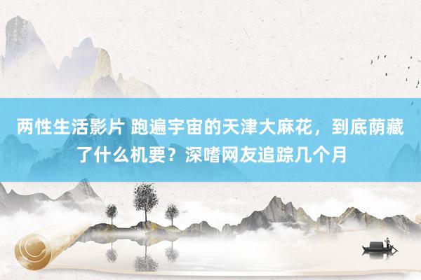 两性生活影片 跑遍宇宙的天津大麻花，到底荫藏了什么机要？深嗜网友追踪几个月