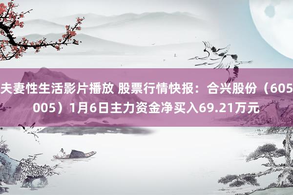 夫妻性生活影片播放 股票行情快报：合兴股份（605005）1月6日主力资金净买入69.21万元