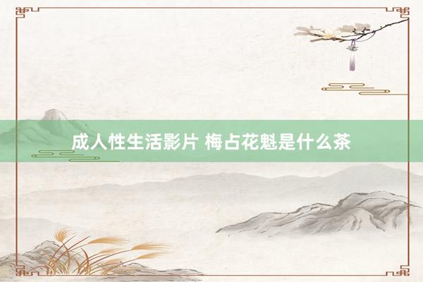 成人性生活影片 梅占花魁是什么茶