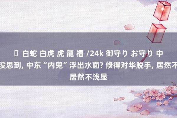 ✨白蛇 白虎 虎 龍 福 /24k 御守り お守り 中俄齐没思到， 中东“内鬼”浮出水面? 倏得对华脱手， 居然不浅显