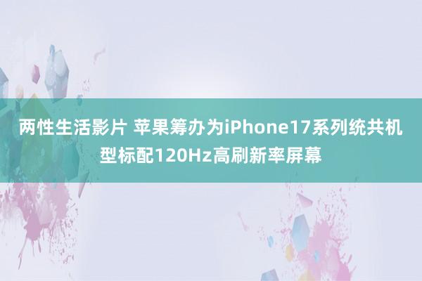 两性生活影片 苹果筹办为iPhone17系列统共机型标配120Hz高刷新率屏幕