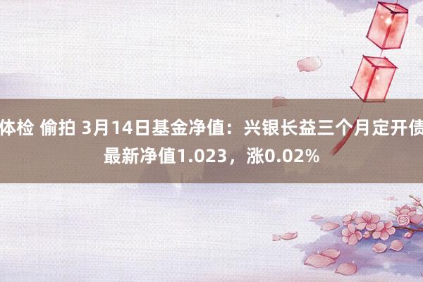 体检 偷拍 3月14日基金净值：兴银长益三个月定开债最新净值1.023，涨0.02%