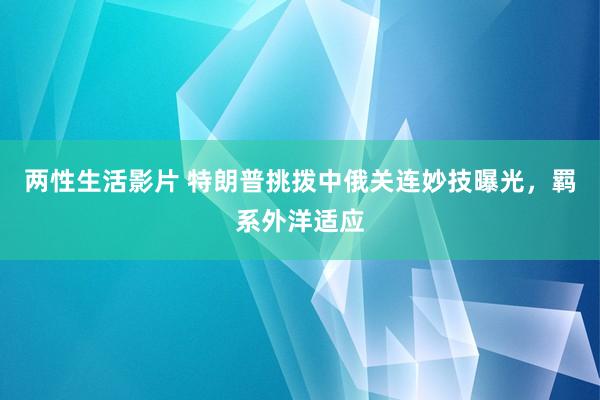 两性生活影片 特朗普挑拨中俄关连妙技曝光，羁系外洋适应