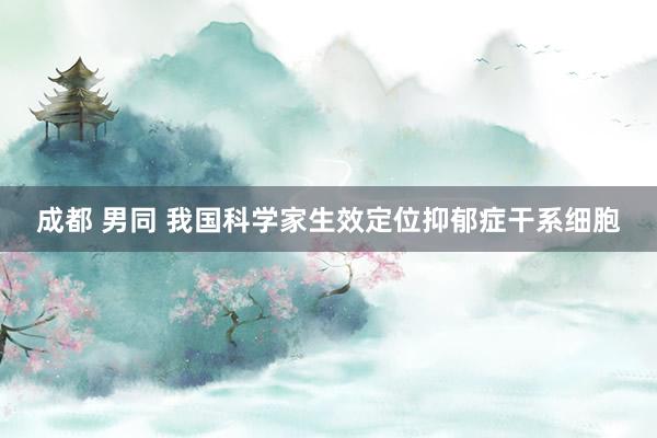 成都 男同 我国科学家生效定位抑郁症干系细胞