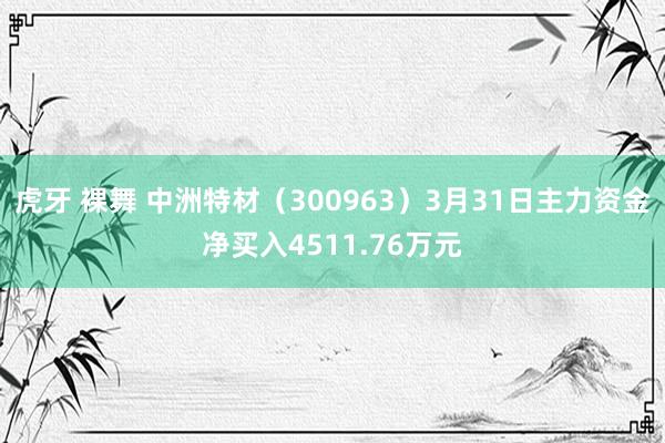 虎牙 裸舞 中洲特材（300963）3月31日主力资金净买入4511.76万元