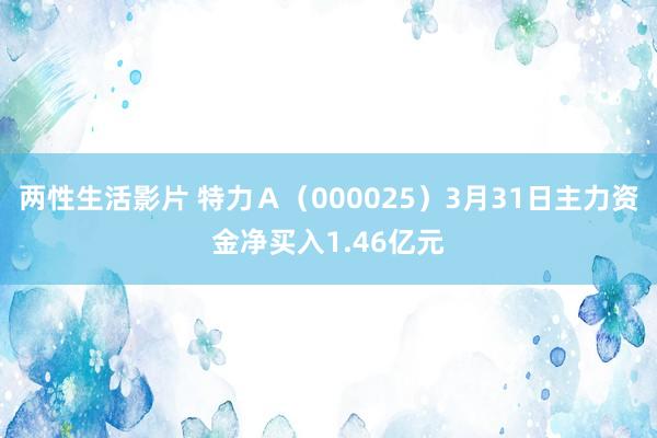 两性生活影片 特力Ａ（000025）3月31日主力资金净买入1.46亿元